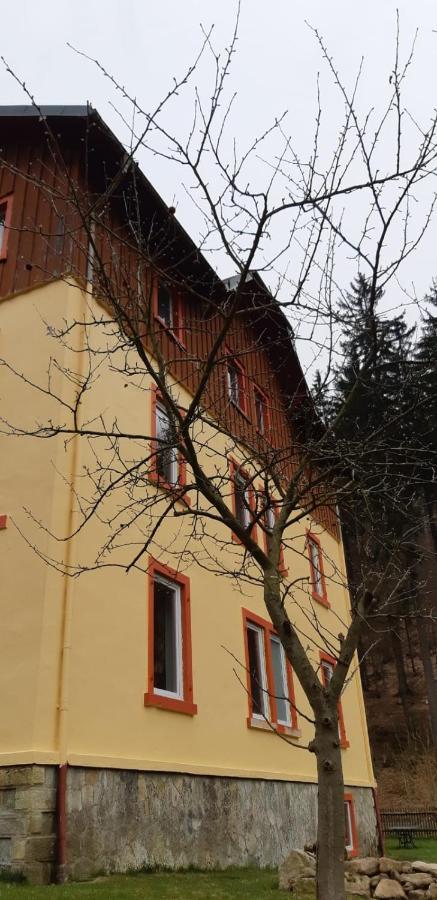 Haus Stefanie Elvire Apartment Altenberg Luaran gambar