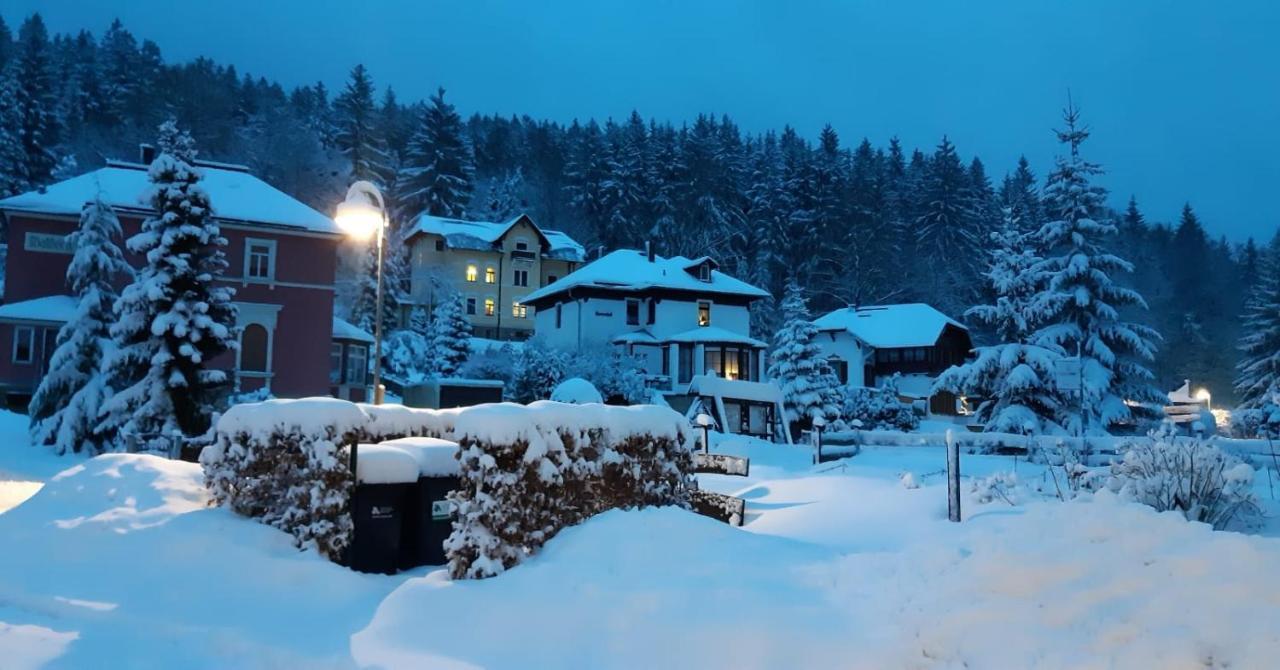 Haus Stefanie Elvire Apartment Altenberg Luaran gambar