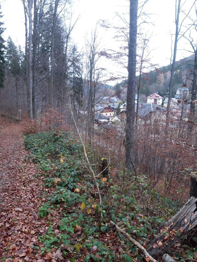 Haus Stefanie Elvire Apartment Altenberg Luaran gambar