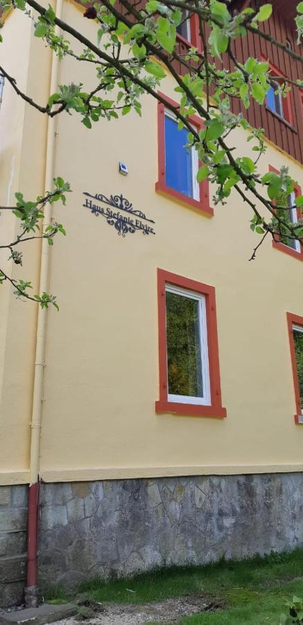 Haus Stefanie Elvire Apartment Altenberg Luaran gambar