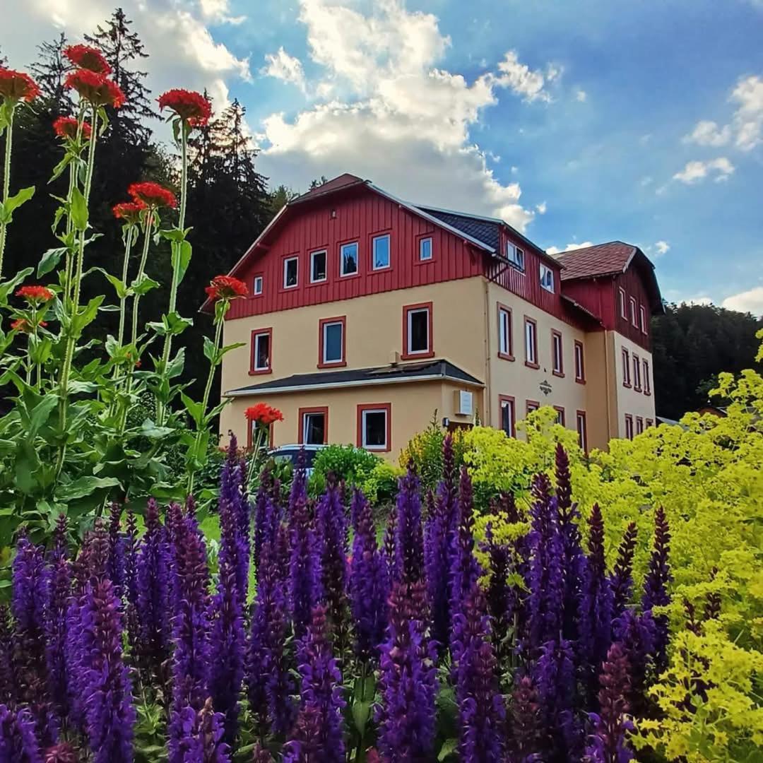 Haus Stefanie Elvire Apartment Altenberg Luaran gambar